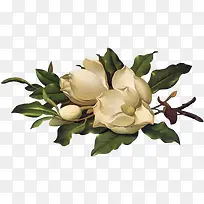 花草矢量图素材水彩花卉素材-空若网 花草矢量图素材水彩花卉素材-空若网