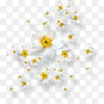 ����ʸ��ͼ�ز���ֲ����-������