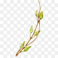 Ë®²ÊÊ÷Ö¦-¿ÕÈôÍø Ë®²ÊÊ÷Ö¦-¿ÕÈôÍø