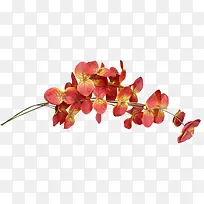 矢量花草素材花草图案-空若网 矢量花草素材花草图案-空若网