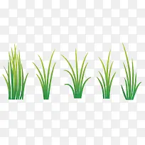 绿色草素材-空若网 绿色草素材-空若网