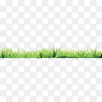 绿色小草-空若网 绿色小草-空若网