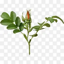 ²Ý-¿ÕÈôÍø ²Ý-¿ÕÈôÍø