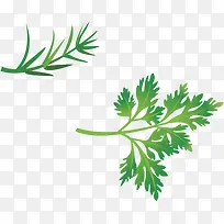 绿草-空若网 绿草-空若网