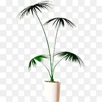 白色盆栽草木-空若网 白色盆栽草木-空若网