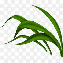 ��ɫС��-������