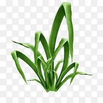 ÂÌɫС²Ý-¿ÕÈôÍø ÂÌɫС²Ý-¿ÕÈôÍø