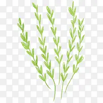 水彩小草-空若网 水彩小草-空若网