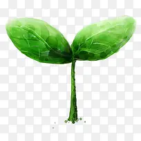 ÂÌɫС²Ý-¿ÕÈôÍø ÂÌɫС²Ý-¿ÕÈôÍø