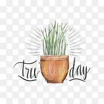 手绘植物-空若网 手绘植物-空若网