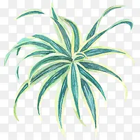 手绘水彩绿色植物小草-空若网 手绘水彩绿色植物小草-空若网