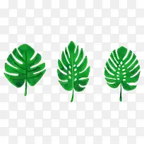 ˮ����ɫʸ����Ҷ-������