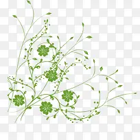 手绘植物-空若网 手绘植物-空若网