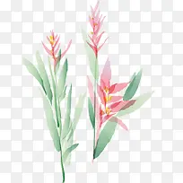 ˮ��ֲ��-������