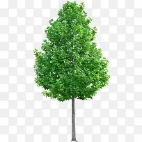 ��ɫ����-������