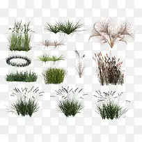 С²Ý×éͼ-¿ÕÈôÍø С²Ý×éͼ-¿ÕÈôÍø