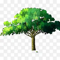 绿色大树-空若网 绿色大树-空若网