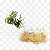 小草-空若网 小草-空若网