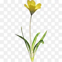 卡通装饰素材手绘花草素材-空若网 卡通装饰素材手绘花草素材-空若网