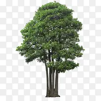 ��-������