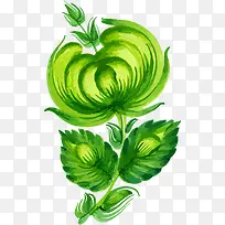 �ֻ�ֲ��-������