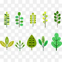 ��ɫֲ��廭-������