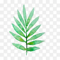 水彩叶子-空若网 水彩叶子-空若网