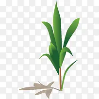 ÂÌɫС²ÝʸÁ¿Í¼-¿ÕÈôÍø ÂÌɫС²ÝʸÁ¿Í¼-¿ÕÈôÍø