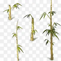 手绘卡通竹子-空若网 手绘卡通竹子-空若网