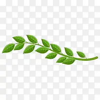 手绘绿色扁平化树叶-空若网 手绘绿色扁平化树叶-空若网
