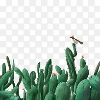 绿色植物仙人掌插画-空若网 绿色植物仙人掌插画-空若网