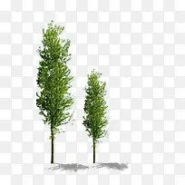 绿树-空若网 绿树-空若网