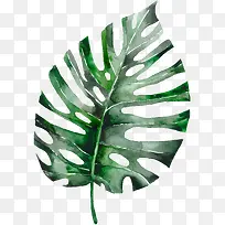 绿色叶子-空若网 绿色叶子-空若网