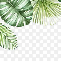 水彩叶子-空若网 水彩叶子-空若网