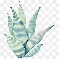 手绘水彩绿色植物-空若网 手绘水彩绿色植物-空若网