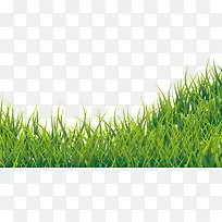 绿色小草-空若网 绿色小草-空若网