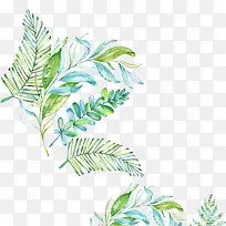 ˮ��Ҷ��-������