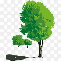 绿树-空若网 绿树-空若网