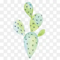手绘水彩仙人掌-空若网 手绘水彩仙人掌-空若网