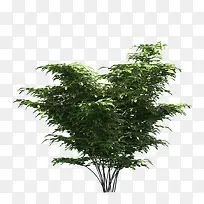 һ������-������