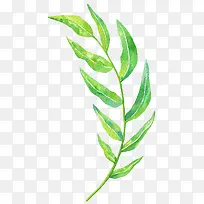 树枝-空若网 树枝-空若网