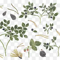 �ʻ�Ҷ���ز�-������