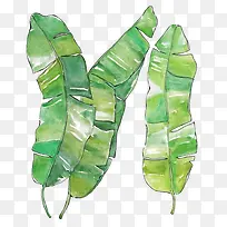 水彩叶子-空若网 水彩叶子-空若网