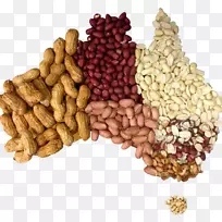 花生酱素食美食金鱼-花生-空若网 花生酱素食美食金鱼-花生-空若网