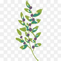 ��ɫ��֦-������