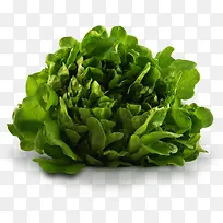 绿色蔬菜-空若网 绿色蔬菜-空若网