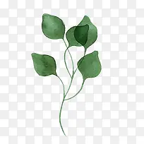 水彩叶子-空若网 水彩叶子-空若网