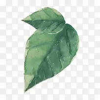 水彩树叶-空若网 水彩树叶-空若网