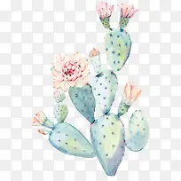 �ֻ�ˮ��������-������