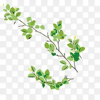 绿色植物树枝-空若网 绿色植物树枝-空若网